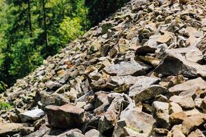 Rocky terrain with colorful stones and lush greenery in a forest setting photo
