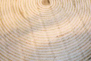Textured woven surface showing intricate circular patterns from natural fibers photo