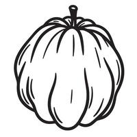 Simple black and white illustration of a pumpkin perfect for autumn designs vector