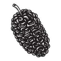 Detailed black and white illustration of a ripe mulberry fruit with stalk for design projects vector