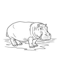 Line art illustration of a large hippo standing in water with a minimalist aesthetic vector