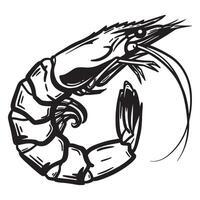 illustration of a detailed black and white shrimp drawn in a linear style vector