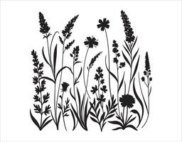 black outlines of meadow wildflowers and herbs. This one's done in a doodle style. vector
