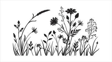 A background featuring black silhouettes of wild herbs and flowers found in meadows. It's all sketched out in a doodle style. vector