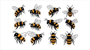 Adorable striped bumblebees and honey bees in flight. Flat illustrations showcasing winged honey bees. vector