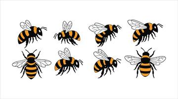 Cute striped bumblebees and honey bees buzzing around. A collection of flat illustrations featuring winged honey bees. vector
