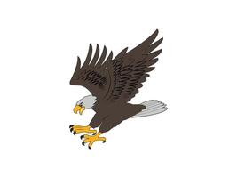 bald eagle illustration, a bald eagle flying in the air with its wings spread vector