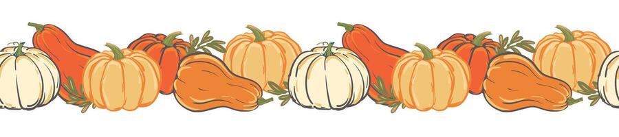 Vetcor horizontal border of colorful pumpkins, Halloween decoration. Seamless pattern with autumn pumpkins for Halloween party invitations, Thanksgiving design. vector