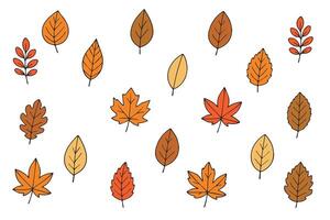 Big set with outlines of bright autumn leaves in doodle style. Concept of forest, leaf fall, nature. illustration, hand drawn. vector