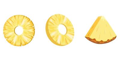 Fresh yellow Pineapple chunks, pieces slice icon set. vector