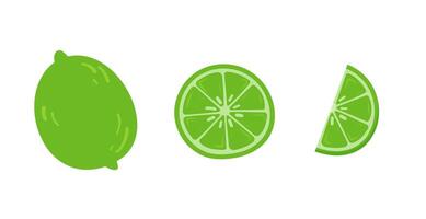 A whole lime, a lime slice, and a lime wedge in flat style vector
