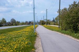 A paved pathway runs alongside a road with utility poles, bordered by yellow dandelions, sparse trees, bushes, and distant houses under a cloudy sky. photo