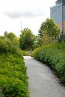 A paved pathway bordered by bushes and trees leads through a landscaped area. A modern building with a gray and brick exterior is visible on the right. photo