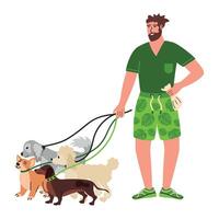 Man walking dogs on leashes vector