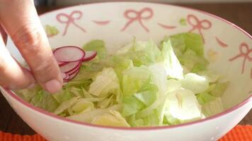fresh lettuce and radish salad video