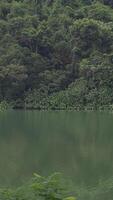 Serene lake surrounded by lush green forest at dawn video