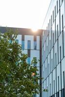 Contemporary buildings with large glass windows and white paneling, contrasted by a green tree in the foreground and sunlight creating lens flare. photo