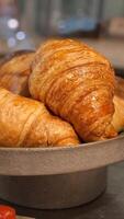 Enjoying fresh croissants in a cozy bakery setting video