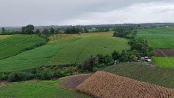 A stunning wide shot of dark rain clouds approaching green forest and farmland. The scene blends serenity and tension, great for dramatic or contemplative visuals. video
