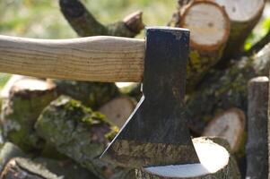 Well-used axe is ready for action, resting on a freshly cut log with a blurred background of more wood. photo