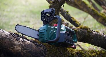 Green chainsaw sits on a tree branch covered in moss, ready for any project requiring wood cutting photo