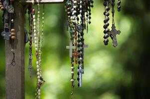 Various rosaries with crosses and beads hang against a soft, green backdrop. photo