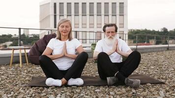 Senior adult man and woman sitting in Namaste pose outdoors practicing meditation for wellness and community. Peaceful and uplifting energy promoted by their balanced posture and calm demeanor. video