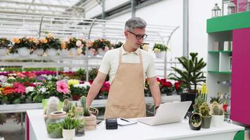 A Caucasian florist in an apron smiling and offering a potted hibiscus flower in a shop with many other plants in the background. video