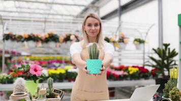 A Caucasian woman in a floral shop holds a cactus, smiling at the camera while standing behind a sales table filled with plants. video