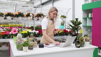 A florist is capturing a photo of a cactus while working in her shop using a smartphone and a laptop. video