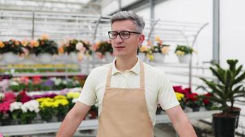 A Caucasian man, arms crossed, in his flower shop. He is surrounded by an array of flowers and potted plants on display for sale. video