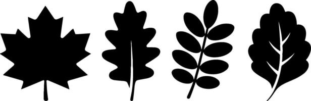Silhouette Maple Oak Ash Elm Leaves Set Autumn Natures vector