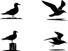 Seagull Silhouette Set Flying Standing Coastal Bird Collection vector