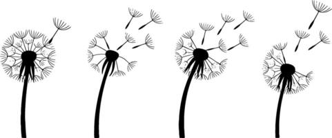 Dandelion Seeds Blowing Away Nature Symbol Minimalist Set vector
