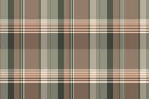 Earthy plaid pattern. Calming, neutral tones create a versatile backdrop. Ideal for textiles, fashion design, or elegant website design. Seamless. vector