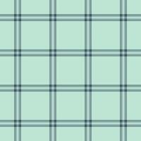 Celtic plaid tartan texture, gingham fabric pattern . Reel background check textile seamless in pastel and light colors. vector