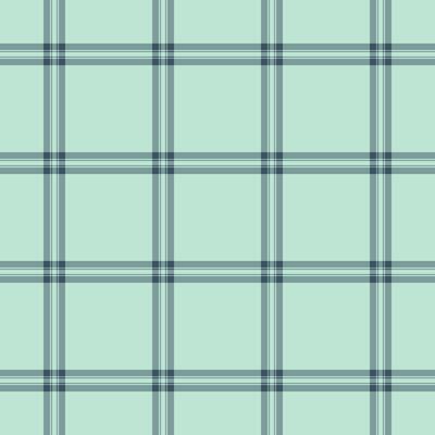 Celtic plaid tartan texture, gingham fabric pattern . Reel background check textile seamless in pastel and light colors.