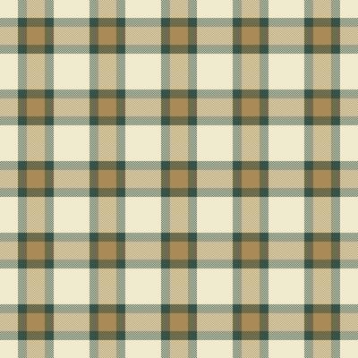 Occupation seamless tartan plaid, outside textile pattern fabric. Cowboy texture background check in light and pastel colors.