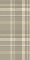 Paisley seamless check, endless tartan pattern plaid. Detailed background textile fabric texture in pastel and light colors. vector