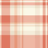Subtle plaid pattern of intersecting lines in neutral and terracotta tones. A versatile background for textiles, design, or website projects. Modern, clean aesthetic. vector
