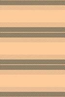 Caisy seamless texture background, ceremony pattern fabric. Trder vertical lines textile stripe in orange and dark colors. vector