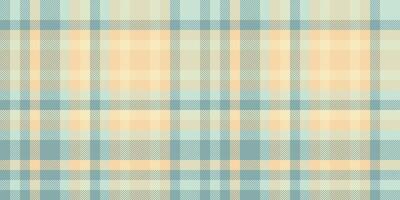 Soft pastel plaid pattern. Perfect for textile design, website backgrounds, packaging, or crafting projects. This gentle, repeating texture evokes feelings of calm and serenity. vector