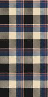 Artwork seamless textile tartan, classy plaid check . Grid fabric background texture pattern in black and light colors. vector