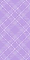 Direct tartan texture , single background textile pattern. Classical fabric seamless plaid check in light and white colors. vector