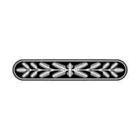 Elegant Black White Floral- Border on White Background vector