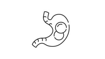 Abdominal distension icon animation. Abdominal distension icon, a line drawing of a bloated stomach filled with food. Suitable for medical infographics, nutrition articles. Motion graphic video