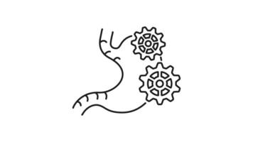 Food digestion line animation. Food digestion icon featuring a stomach with interconnected gears. Perfect for educational materials on the digestive system and biological topics. video