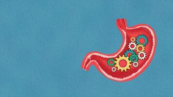 Digestive system with a stomach with gears and a red heart video