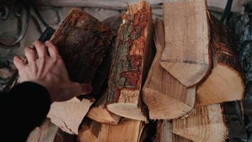 First-person view. man hand methodically collecting firewood logs in slow motion, revealing intricate wood texture and mesmerizing movement against rustic background. Man hand collecting wooden logs video