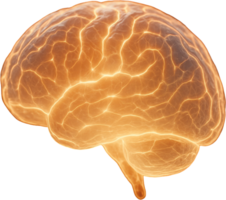 Translucent brain illuminated by pulsating neural connections png